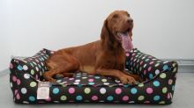 Pelech pro psa Argi obdélníkový - snímatelný potah z polyesteru - Melissa - 60 x 45 cm