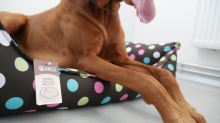 Pelech pro psa Argi obdélníkový - snímatelný potah z polyesteru - Melissa - 60 x 45 cm
